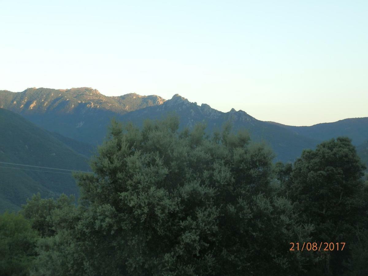 Villa Calme Et Detente Montbolo ภายนอก รูปภาพ